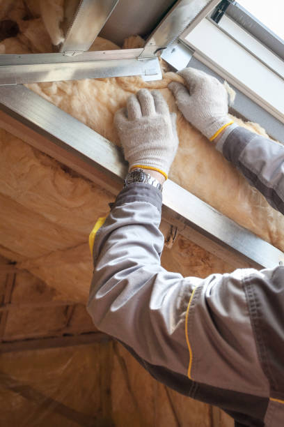 Best Insulation Installation Services in Mapleton, ND